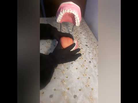 سلسلة تصحيح الأداء ١٥ الظاء والذال والثاء