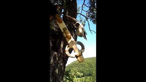 Basketmaker Atlatl