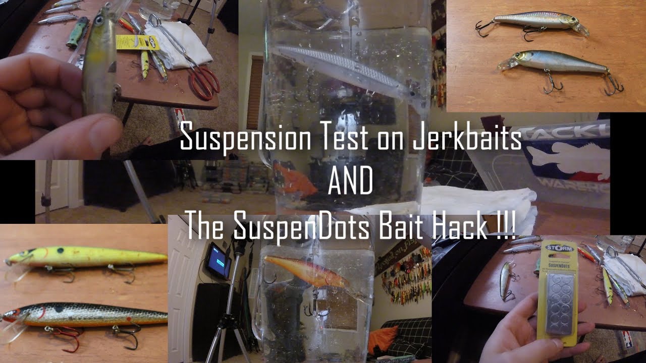 Tank Testing JERKBAITS + How to make lures SUSPEND 