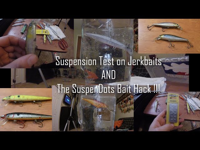 Tank Testing JERKBAITS + How to make lures SUSPEND 