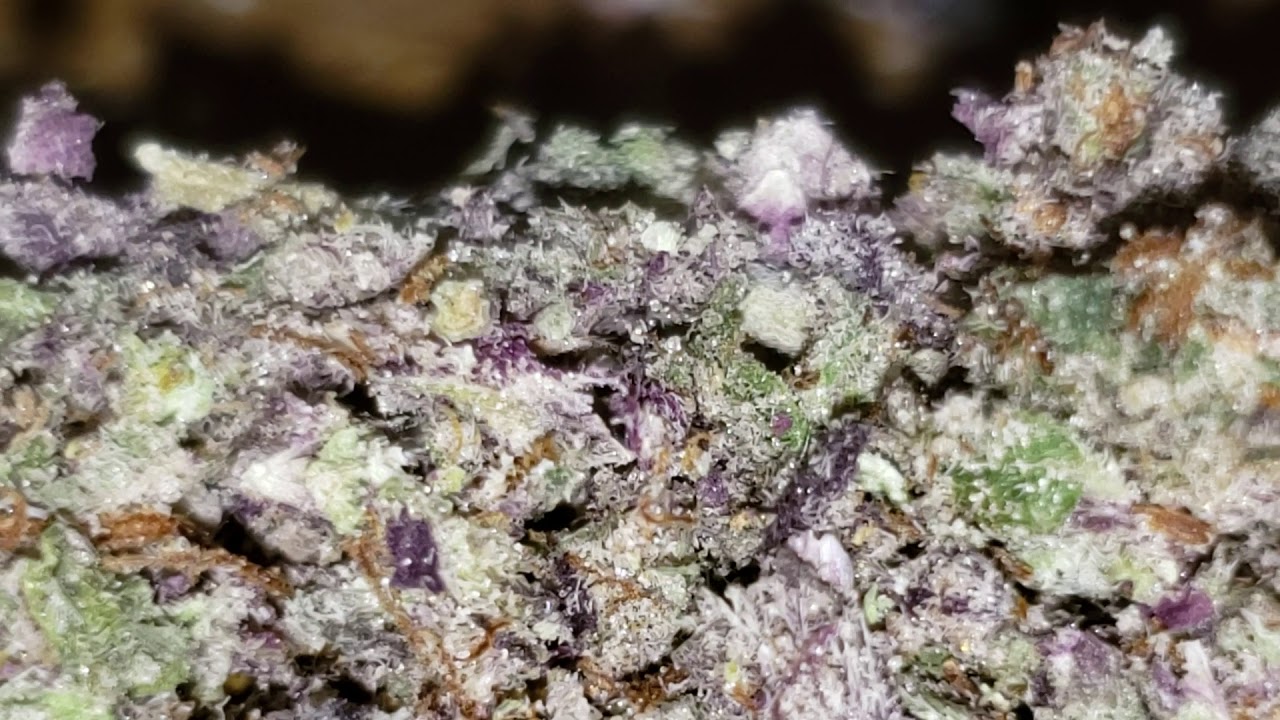 Marijuana Close Up