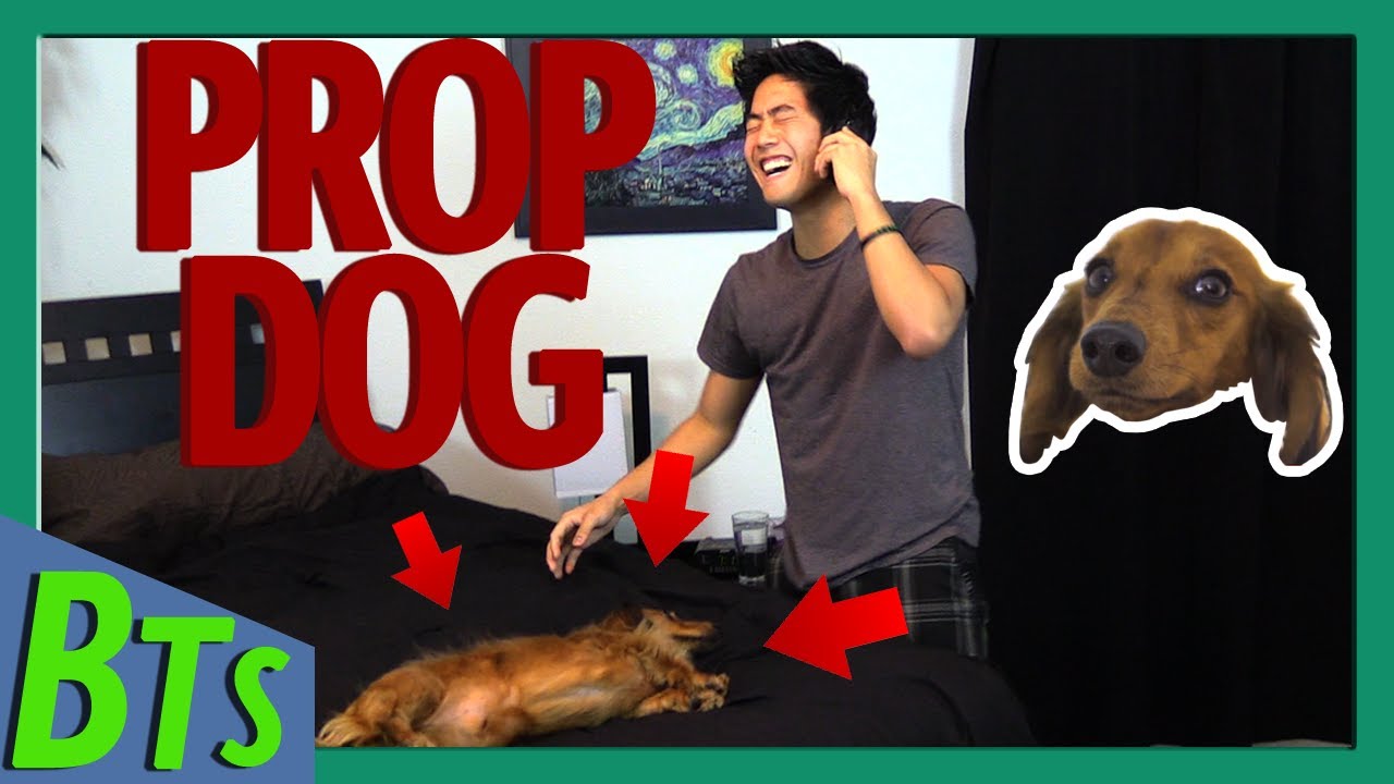 Messing with Marley (СДВГ BTS)