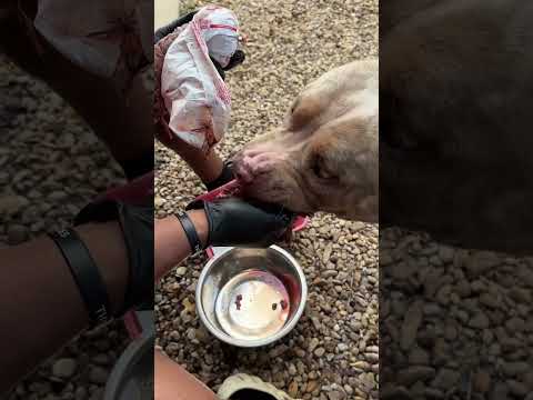 Hand feeding early