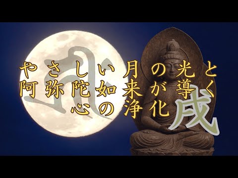 ❤️　❀本日満月月祈りヒーリング❀ 干支：卯うさぎどし】満月ヒーリング10分間音楽/目を閉じて