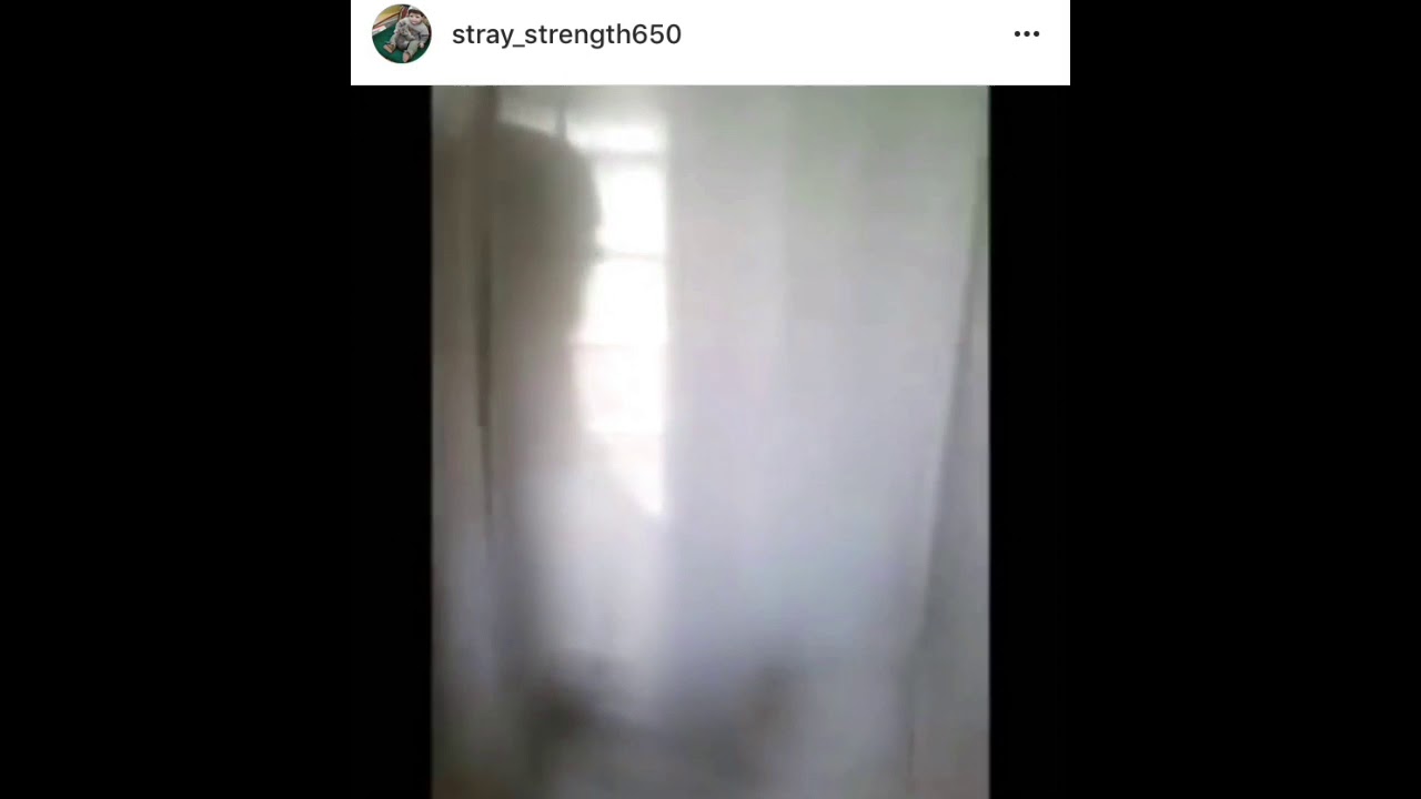 #TBT-Lenny Getting Ready To Film A Tranny Porno - YouTube