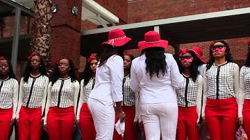 Lambda Psi Chapter of Delta Sigma Theta, Sorority Inc. Spring 2014 Probate