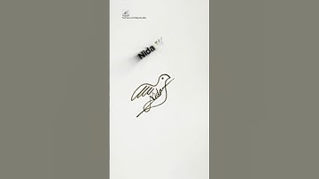 Falcon 🕊️ Signature | Signature Design | Signature Ideas | Nida Signature Style #signature #shorts