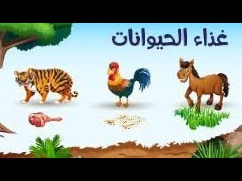 غذاء الحيوانات بالصور