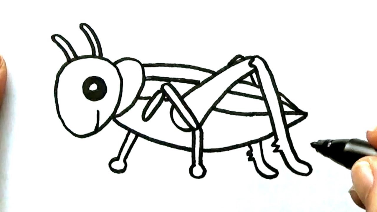 c-mo-dibujar-un-saltamontes-dibujo-de-un-saltamontes-youtube