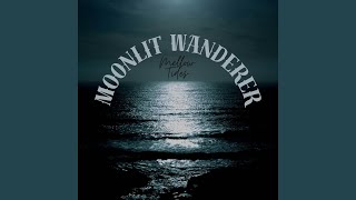 Moonlit Wanderer