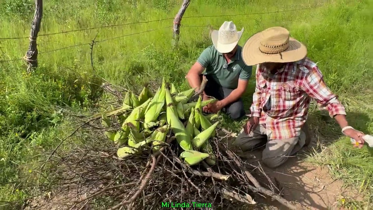 MAS DE 60 AÑOS QUE AGO LAS SORASCAS DE ELOTES Y SE PRENDER UNA LUMBRE CON LA LEÑA MOJADA🇲🇽🌽😉👍