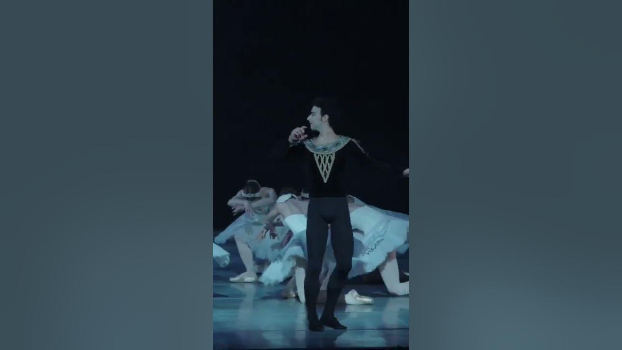 Swan Lake Moments: Searching for the Swan Queen