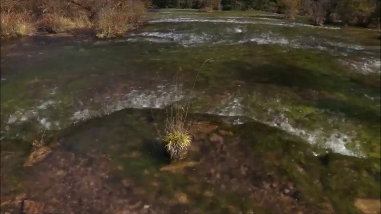 SANGIT OM   -  Water