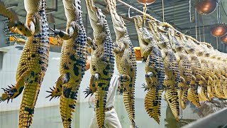 You will never sleep at night after seeing the crocodile meat production in this factory!