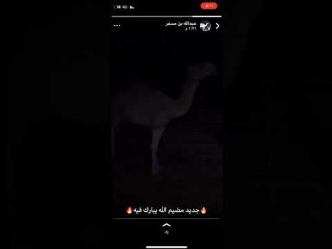 ٢ سبتمبر ٢٠١٩