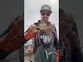 Pacific Stone Crab AKA Northern Rock Crab #friendliestcatch