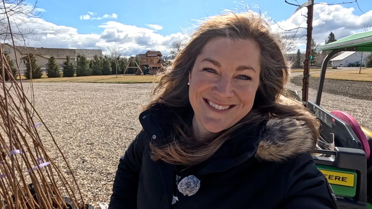 Planting 10 Clump Birch Trees, a Redwood Tree & 2 Ficus Topiaries! 🌳🌲🪴