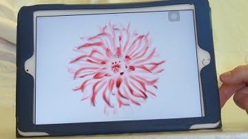 How to use Magnify and Zoom on an iPad