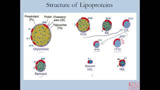 Lipids and Lipoproteins - Part 1 - Introduction to Lipoproteins