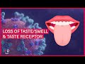 Did Loss of Taste &amp; Smell Affect the Taste Receptor Expression: Testing The Theory 🤔