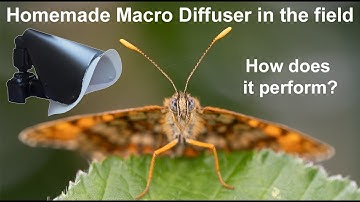 Insect macro photography with the Homemade Macro Flash Diffuser in a nature reserve