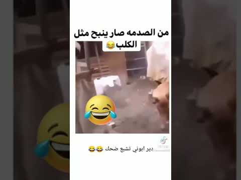 من الصدمة سار هاد الجدي ينبح مثل الكلب ضحك مقاطع ضحك كوميديا السعودية مصر المغرب مقالب