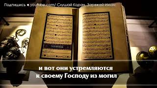 🎧 СЛУШАЙТЕ КОРАН - УБИРАЕТ ВЕСЬ НЕГАТИВ И СТРЕСС, УВЕЛИЧИВАЕТ ИМАН, СЧАСТЬЕ. Красивое чтение корана