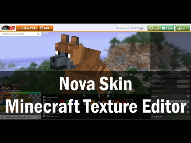 2017  Nova Skin