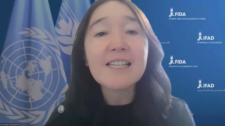 Webinar on nutrition sensitive food value chains in Africa