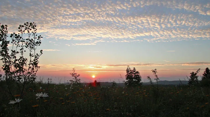 Summer Sunset With Crickets and Birds Singing / 1 Hour - DayDayNews