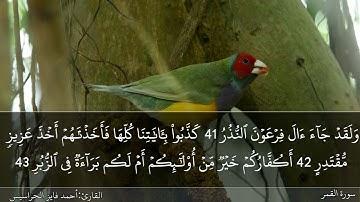 الصفحة 530 سورة القمر بصوت القارئ المهندس أحمد فايز الحراسيس