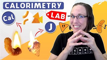 Food Calorimetry Lab Calculations and Explanation (95)