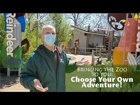 वीडियो: शिकागोलैंड के ब्रुकफील्ड चिड़ियाघर के लिए एक गाइड