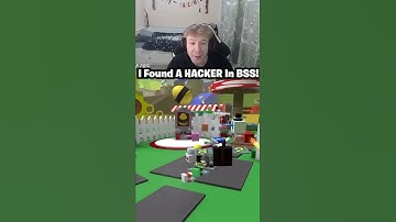 I Found A HACKER FLYING In Bee Swarm Simulator Roblox... 😭😭