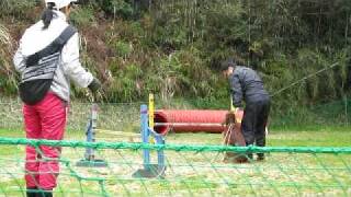 20100330-01.avi