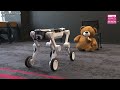 Deploying robo-dogs to fight bears with physical ai tech