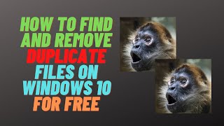 How to Find and Remove Duplicate Files on Windows 10 For Free screenshot 4