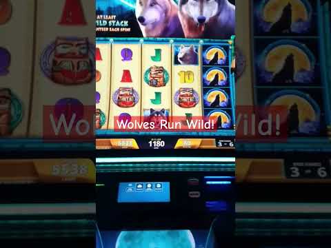 Speel Online Casino Spellen met de Pistolo Casino App in België