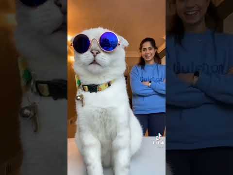 اسعدني مرورك الكريم