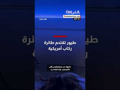 طيور تقتحم طائرة ركاب أمريكية