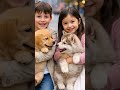 Happiness Followed Them 🐶❤️ | Cutest Puppy Moment Ever | #viralshorts #shorts
