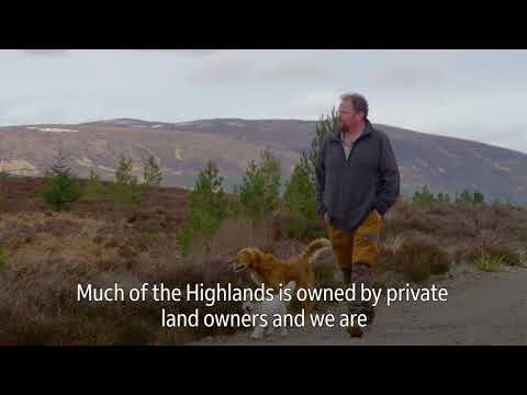 How a FedEx grant to Rewilding Europe is enabling nature restoration in Scotland’s Affric Highlands