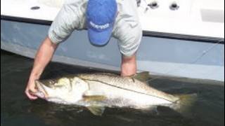 Monster Snook! Largest Snook Ever Broadcasted Stuart - Personal Best Fish - Snook Fishing Robalo