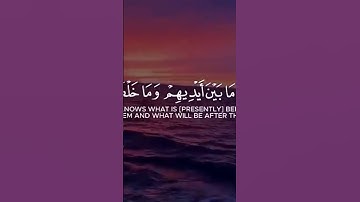 الله لا إله إلا هو الحي القيوم:  تلاوة خاشعة ارح سمعك 😍قران كريم 🥺