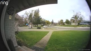 RAW shows tree fall in Fair Oaks during storm