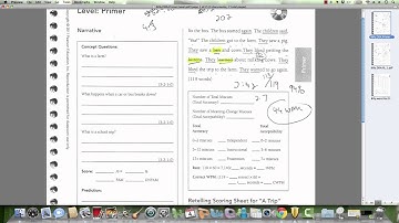 Diagnostic Reading Assessment.BILLY.PRIMER LEVEL