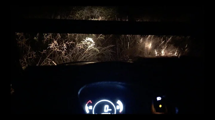 Watch the video about 1 Drop 1 Tree (Coon Hunt on the Gator)