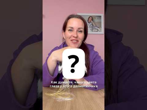 Давай поиграем? Этот далматин удивит тебя!