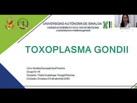 Video: Sisi Gelap Menyala: Pencitraan Toxoplasma Gondii Selama Beberapa Dekade