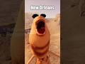 Ref:_M1a01u5-FE Marcus is going to new orleans #roflgator #vrchat #funny #memes #funnymoments